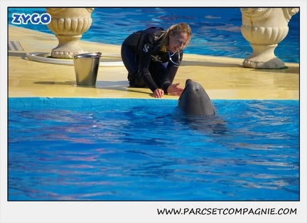 Marineland - Dauphins - Spectacle 14h30 - 1049