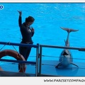 Marineland - Dauphins - Spectacle 14h30 - 1050