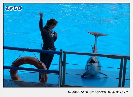 Marineland - Dauphins - Spectacle 14h30 - 1050