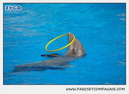 Marineland - Dauphins - Spectacle 14h30 - 1052
