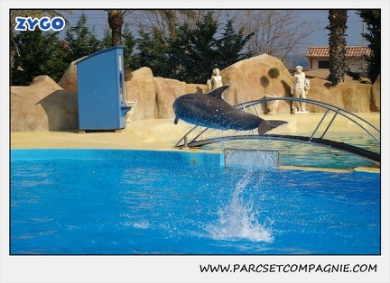 Marineland - Dauphins - Spectacle 14h30 - 1053
