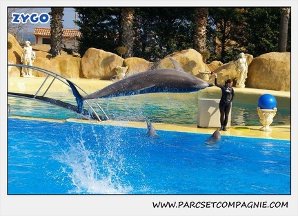 Marineland - Dauphins - Spectacle 14h30 - 1054