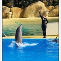 Marineland - Dauphins - Spectacle 14h30 - 1055