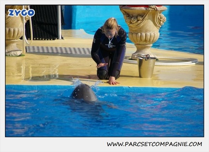 Marineland - Dauphins - Spectacle 14h30 - 1056