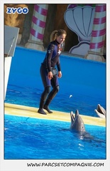 Marineland - Dauphins - Spectacle 14h30 - 1057