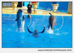 Marineland - Dauphins - Spectacle 14h30 - 1059