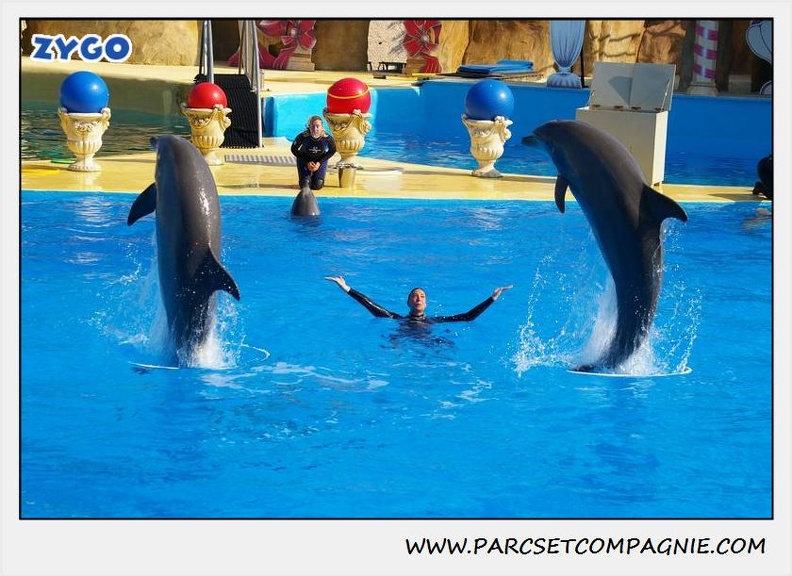 Marineland - Dauphins - Spectacle 14h30 - 1060