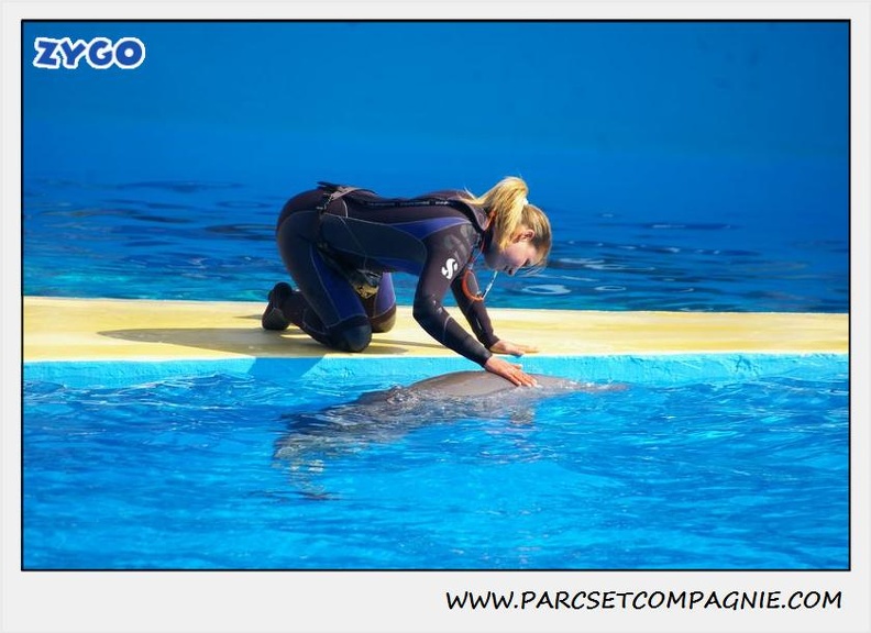 Marineland - Dauphins - Spectacle 14h30 - 1061