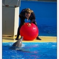 Marineland - Dauphins - Spectacle 14h30 - 1063