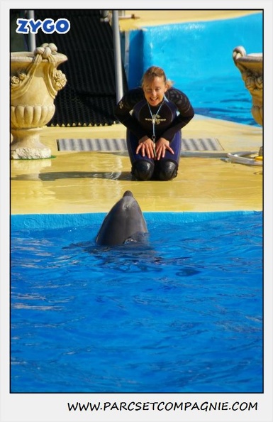 Marineland - Dauphins - Spectacle 14h30 - 1064