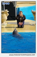 Marineland - Dauphins - Spectacle 14h30 - 1065
