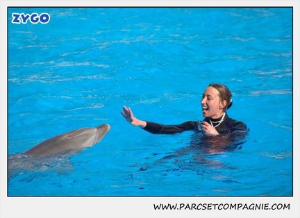 Marineland - Dauphins - Spectacle 14h30 - 1066