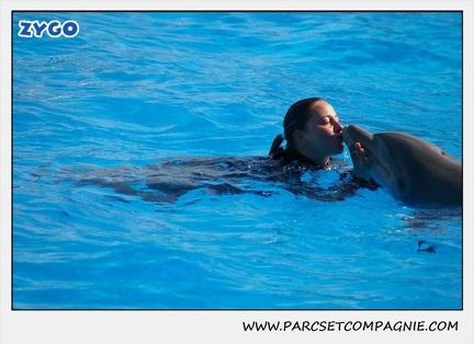 Marineland - Dauphins - Spectacle 14h30 - 1067