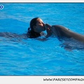 Marineland - Dauphins - Spectacle 14h30 - 1068