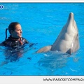 Marineland - Dauphins - Spectacle 14h30 - 1070