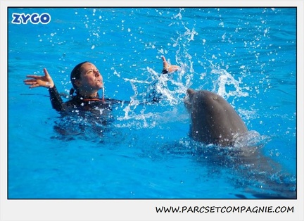 Marineland - Dauphins - Spectacle 14h30 - 1071