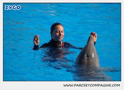Marineland - Dauphins - Spectacle 14h30 - 1072