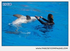 Marineland - Dauphins - Spectacle 14h30 - 1073