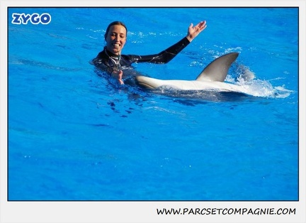 Marineland - Dauphins - Spectacle 14h30 - 1074