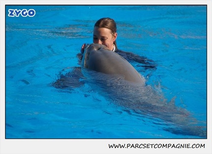 Marineland - Dauphins - Spectacle 14h30 - 1075