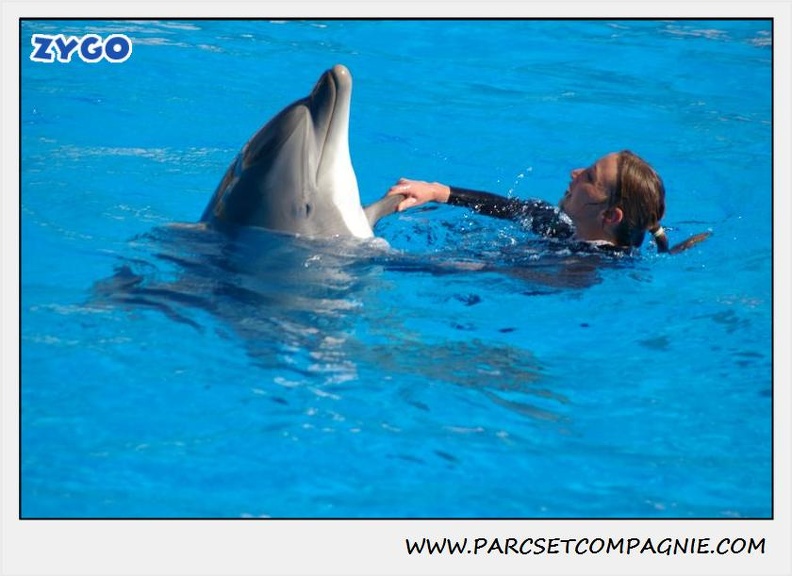 Marineland - Dauphins - Spectacle 14h30 - 1076