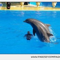 Marineland - Dauphins - Spectacle 14h30 - 1077
