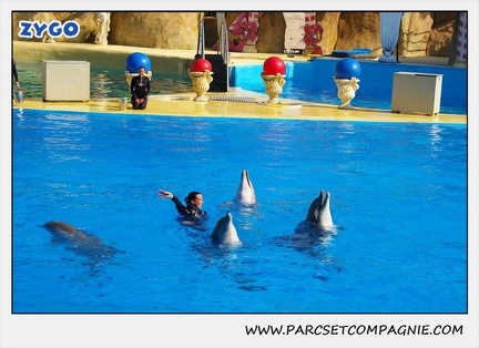 Marineland - Dauphins - Spectacle 14h30 - 1080
