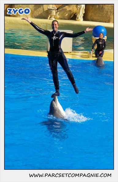 Marineland - Dauphins - Spectacle 14h30 - 1081
