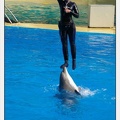 Marineland - Dauphins - Spectacle 14h30 - 1082