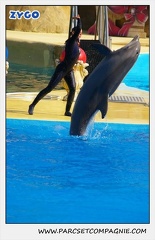 Marineland - Dauphins - Spectacle 14h30 - 1083
