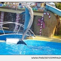 Marineland - Dauphins - Spectacle 14h30 - 1084
