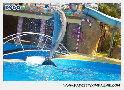 Marineland - Dauphins - Spectacle 14h30 - 1084