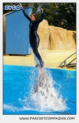 Marineland - Dauphins - Spectacle 14h30 - 1086