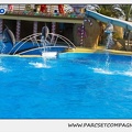 Marineland - Dauphins - Spectacle 14h30 - 1087