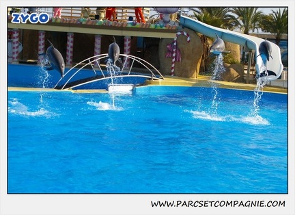 Marineland - Dauphins - Spectacle 14h30 - 1087