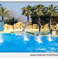 Marineland - Dauphins - Spectacle 14h30 - 1088
