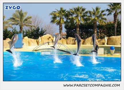 Marineland - Dauphins - Spectacle 14h30 - 1088
