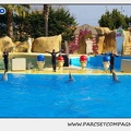 Marineland - Dauphins - Spectacle 14h30 - 1089