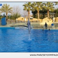 Marineland - Dauphins - Spectacle 17h15 - 1091