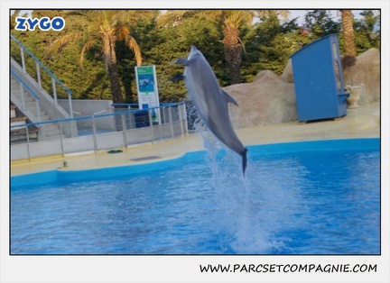 Marineland - Dauphins - Spectacle 17h15 - 1092