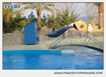 Marineland - Dauphins - Spectacle 17h15 - 1093