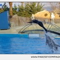 Marineland - Dauphins - Spectacle 17h15 - 1094