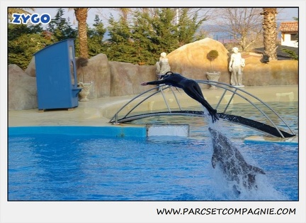 Marineland - Dauphins - Spectacle 17h15 - 1094
