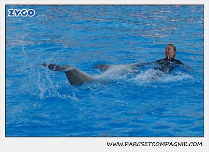 Marineland - Dauphins - Spectacle 17h15 - 1096