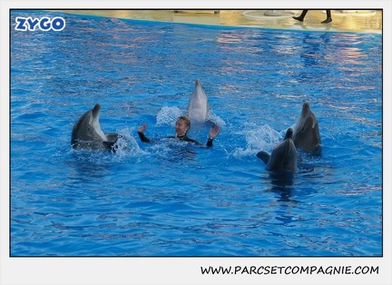 Marineland - Dauphins - Spectacle 17h15 - 1097