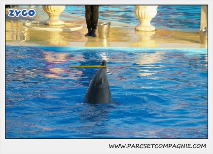 Marineland - Dauphins - Spectacle 17h15 - 1098