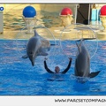 Marineland - Dauphins - Spectacle 17h15 - 1100