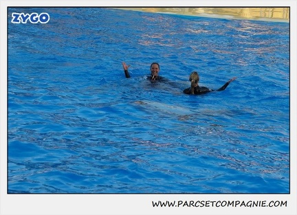 Marineland - Dauphins - Spectacle 17h15 - 1102
