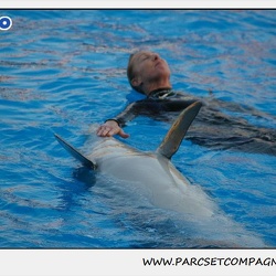 Marineland - Dauphins - Spectacle 17h15