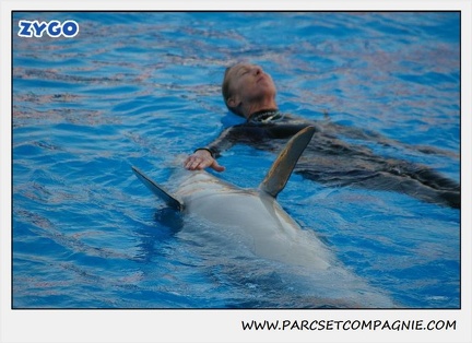 Marineland - Dauphins - Spectacle 17h15 - 1103